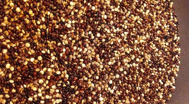 quinoa3